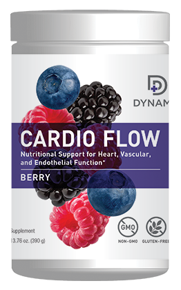 Dynamic Cardio Flow ND